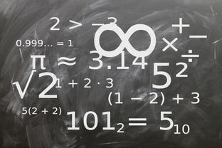 中小学体育教师教学技能提升研究，中小学体育教学的基本技能